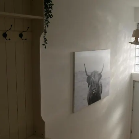Lägenhet Grosser Elefant