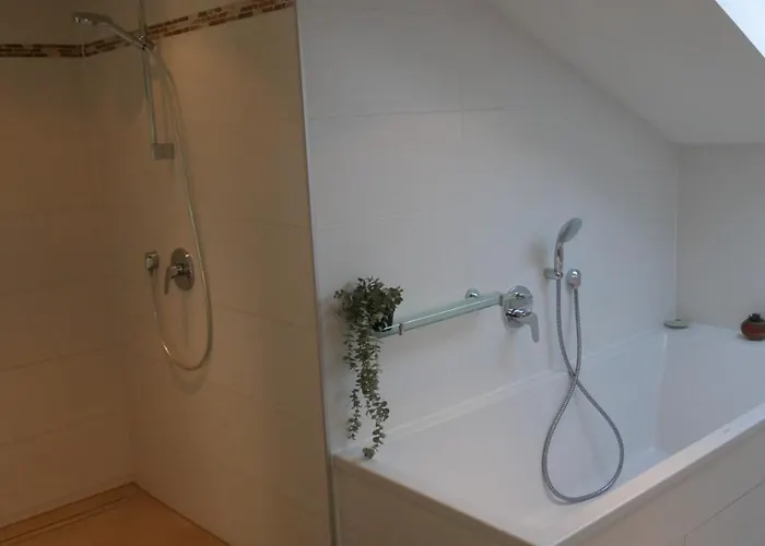 Grosser Elefant Apartment